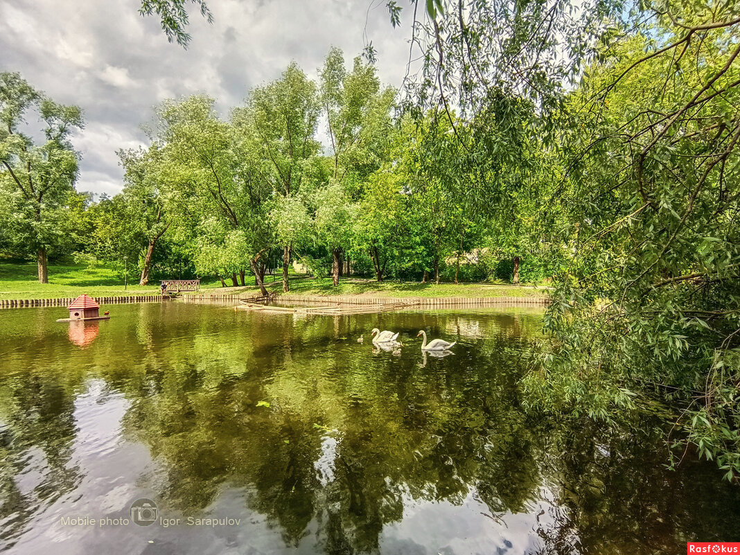 Леоновский пруд - Игорь Сарапулов