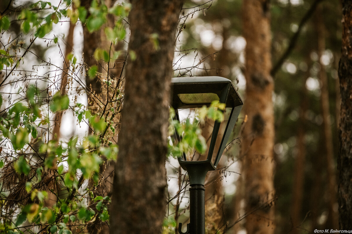 Одиночество - Михаил 