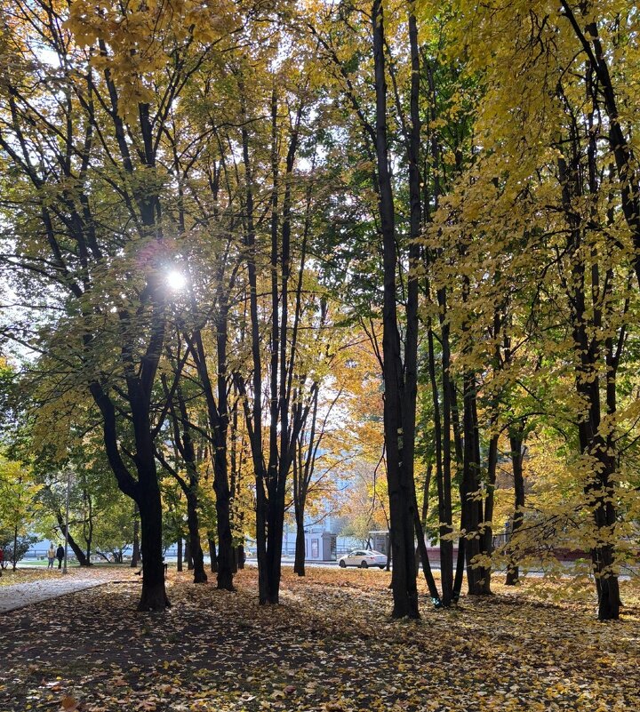 Октябрь - Мария - Maria