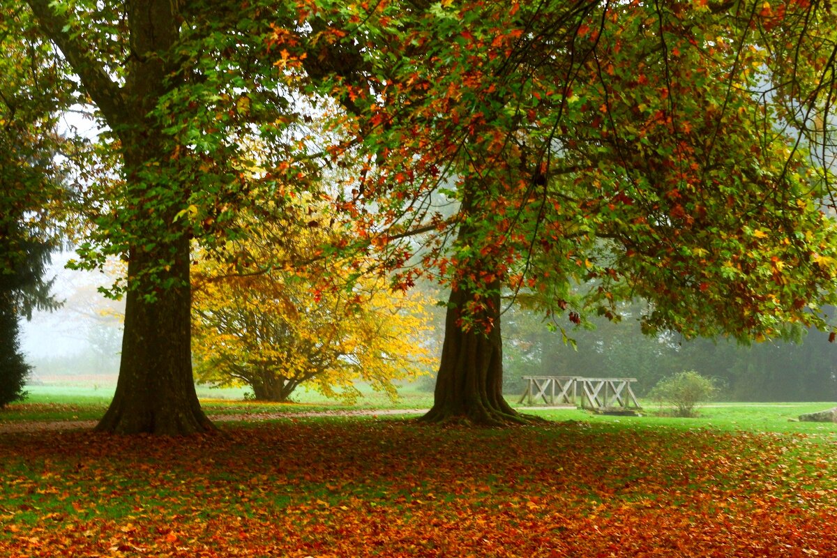По парку бродит осень - Юрий. Шмаков