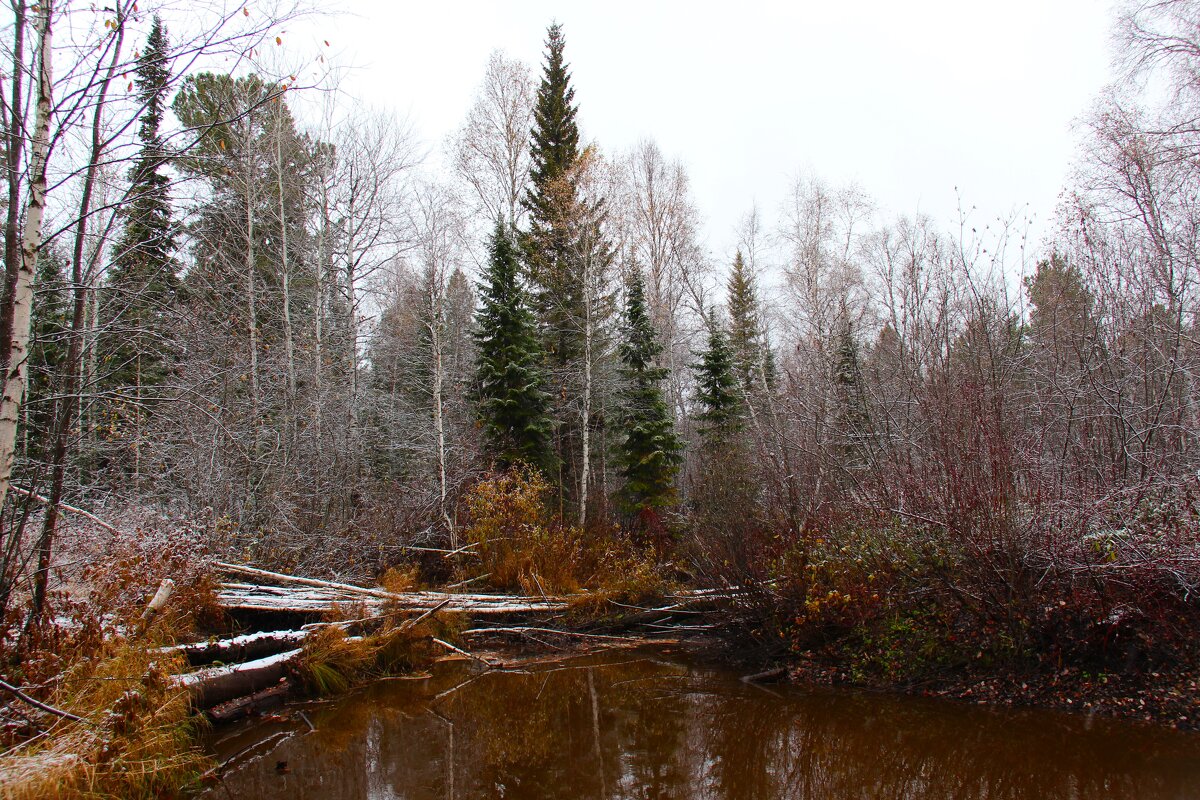 Нигия - Сергей Никифоров