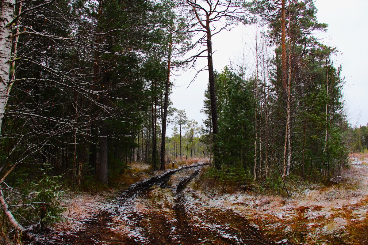 Пути - Сергей Никифоров