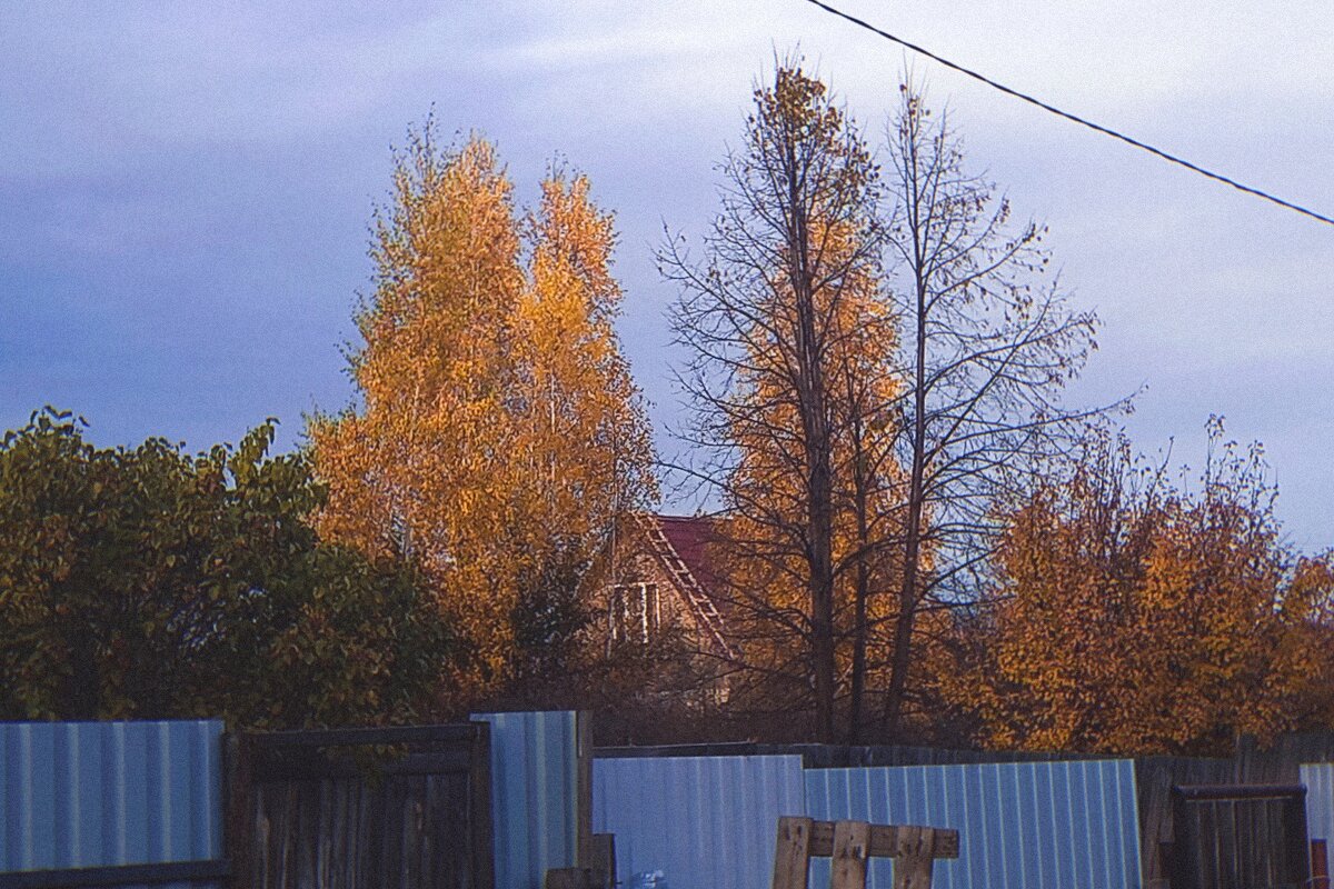 Золотая дачная осень. - Игорь Солдаткин