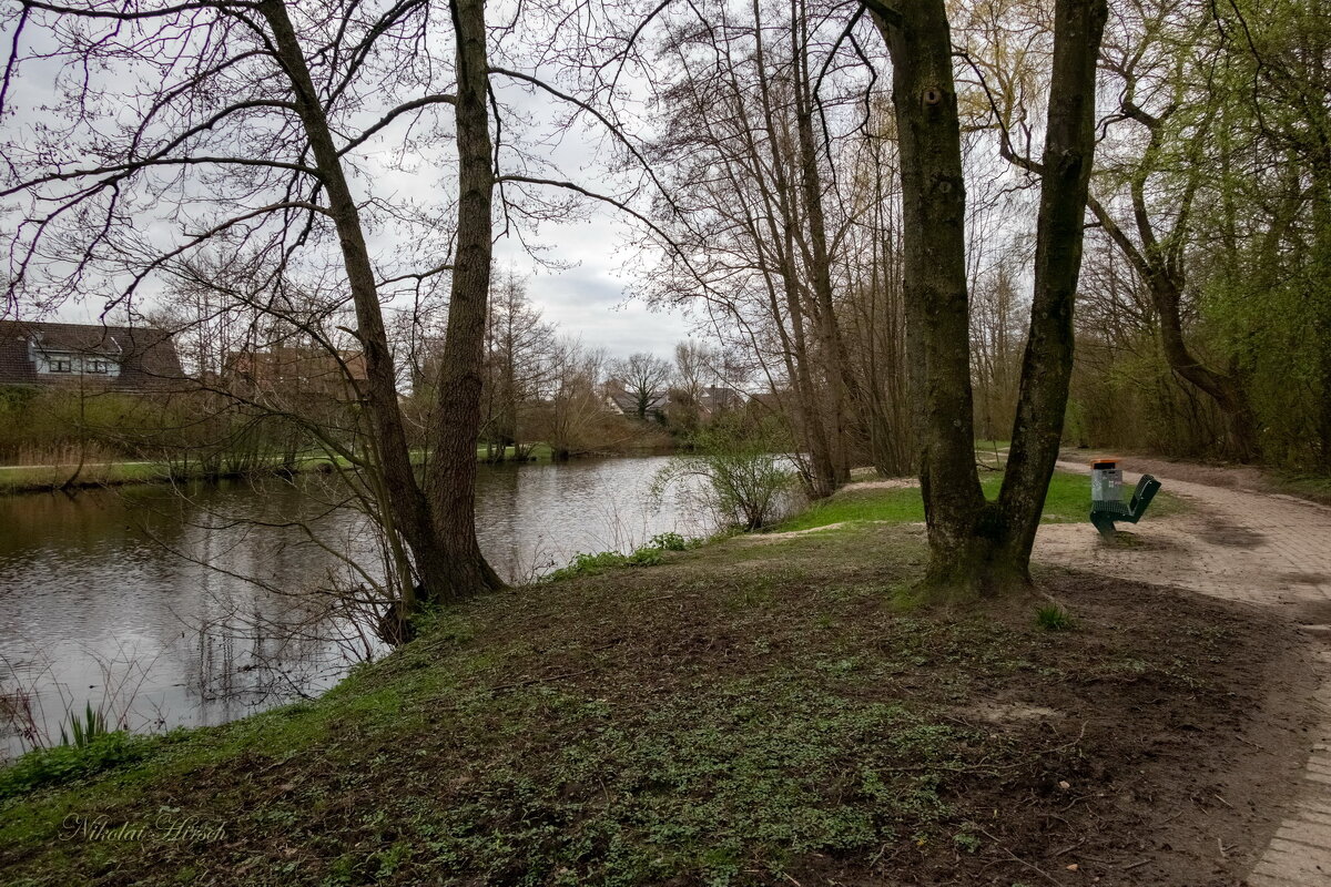 Вокруг пруда... - Николай Гирш