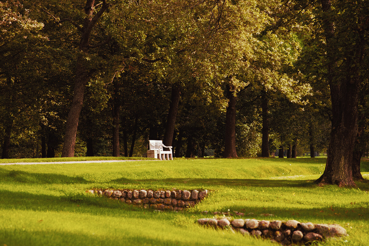 Солнечный осенний день - Светлана Никитина