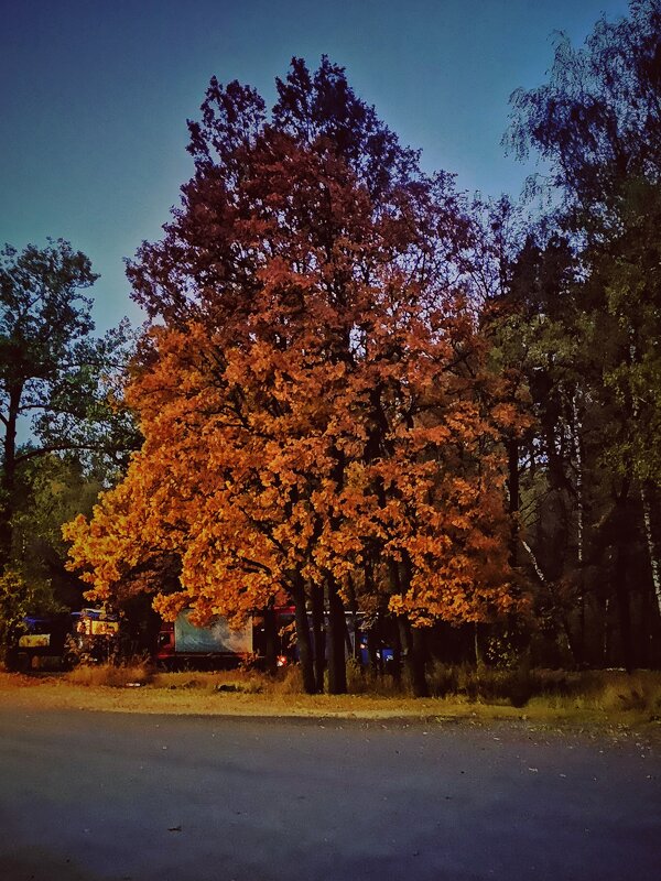 **** - Алексей Архипов