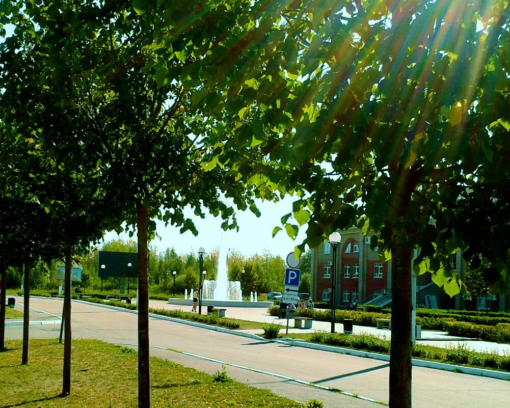 -------- - Владимир 