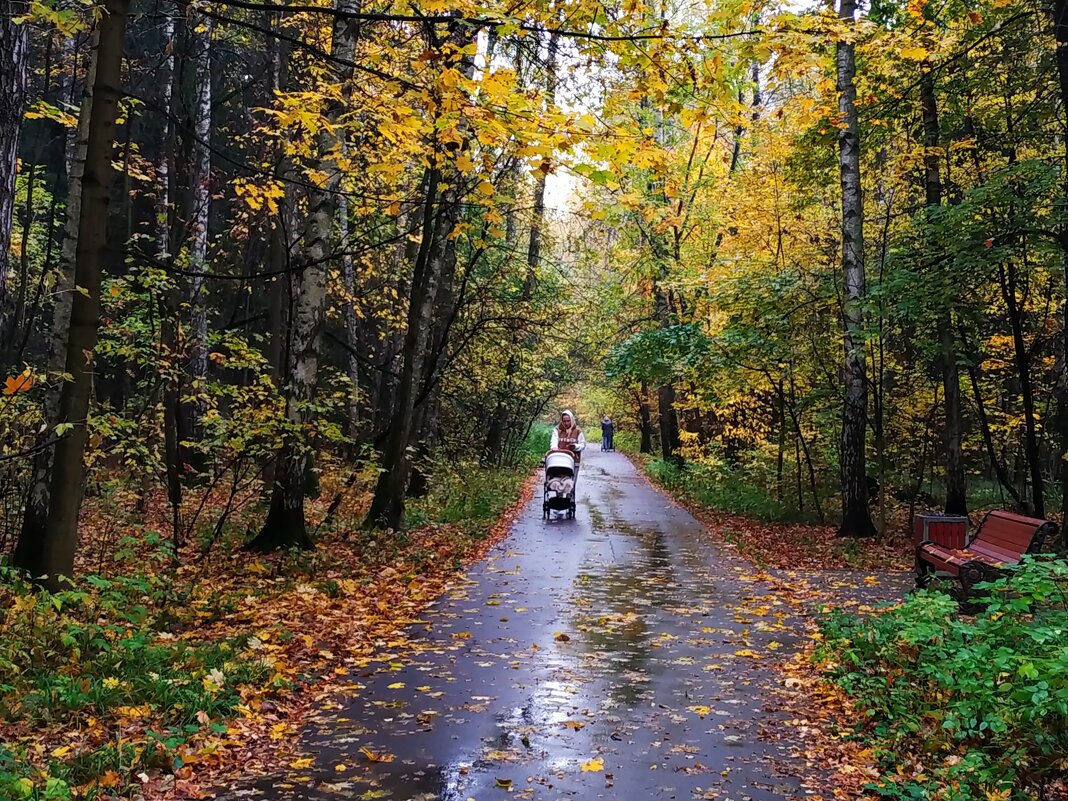 Осень года и весна жизни - Андрей Лукьянов