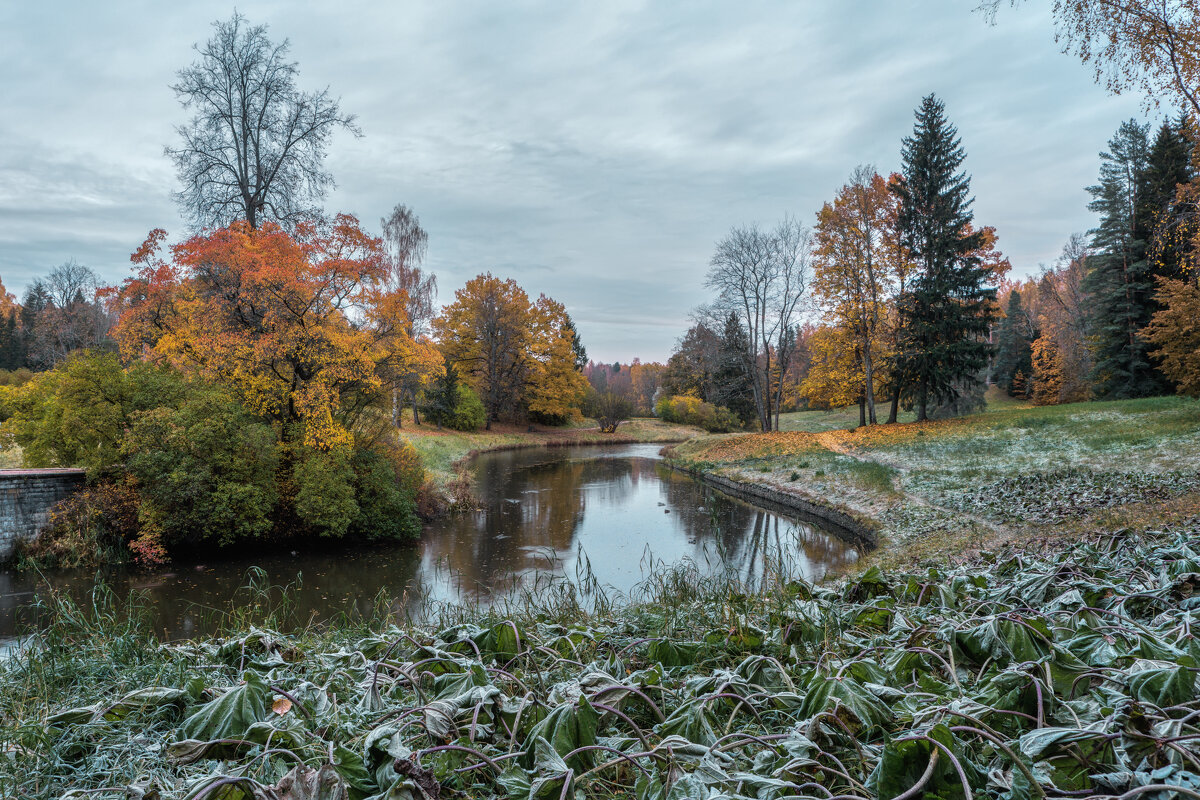 Про Питер - Владимир Колесников
