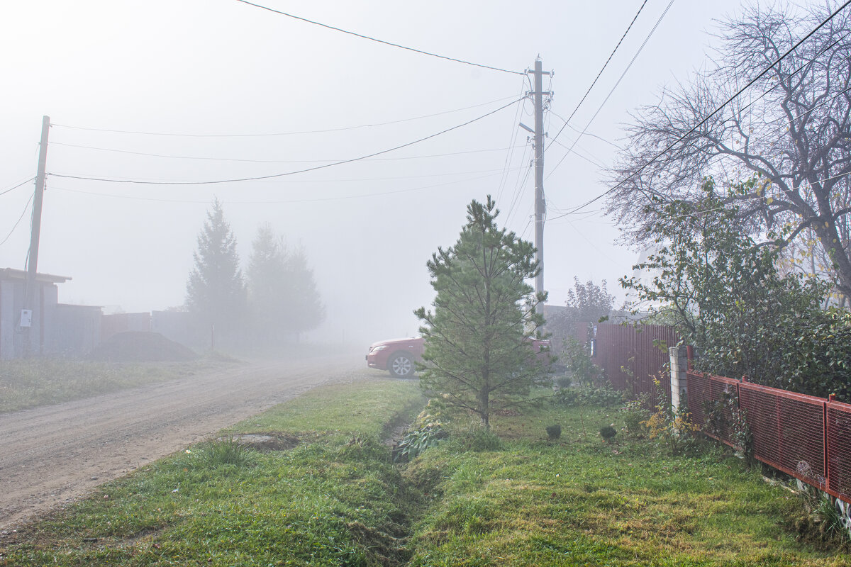 туман - petyxov петухов