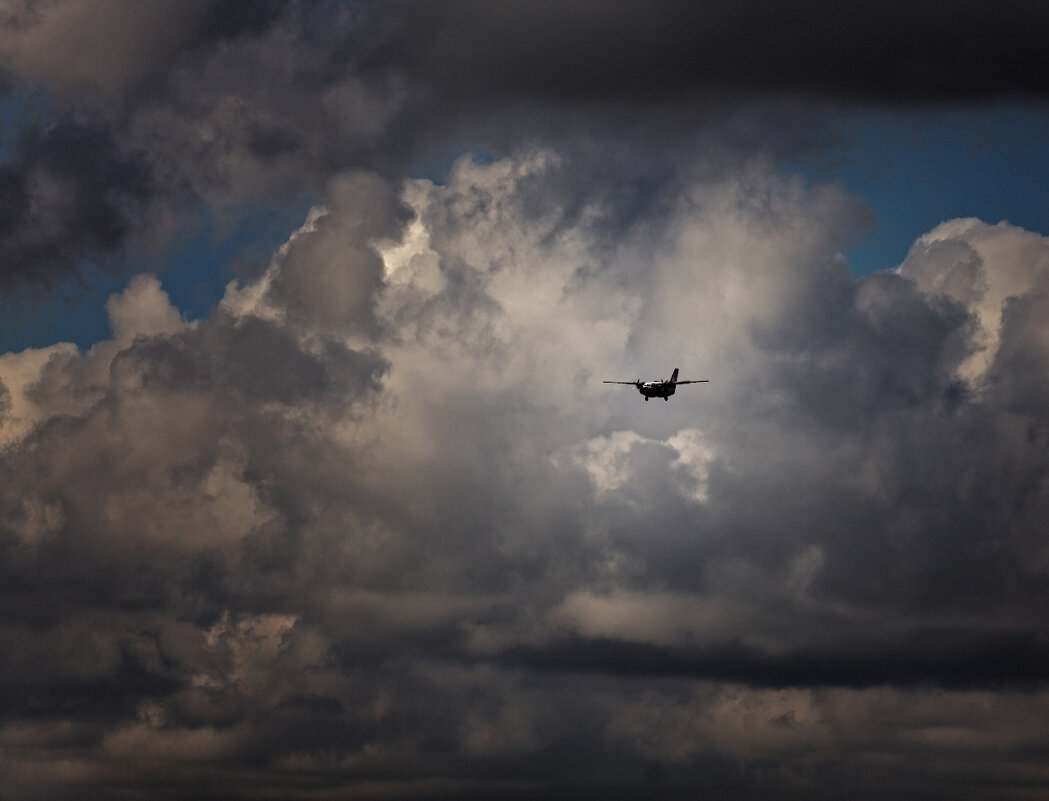 в грозу...... - Сергей Серый