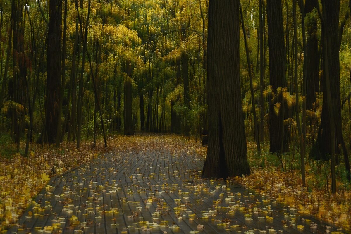 Дождливая осень в Филях - Александр Орлов