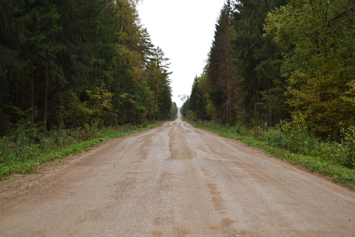 Просто дорога - Олег Ховренков