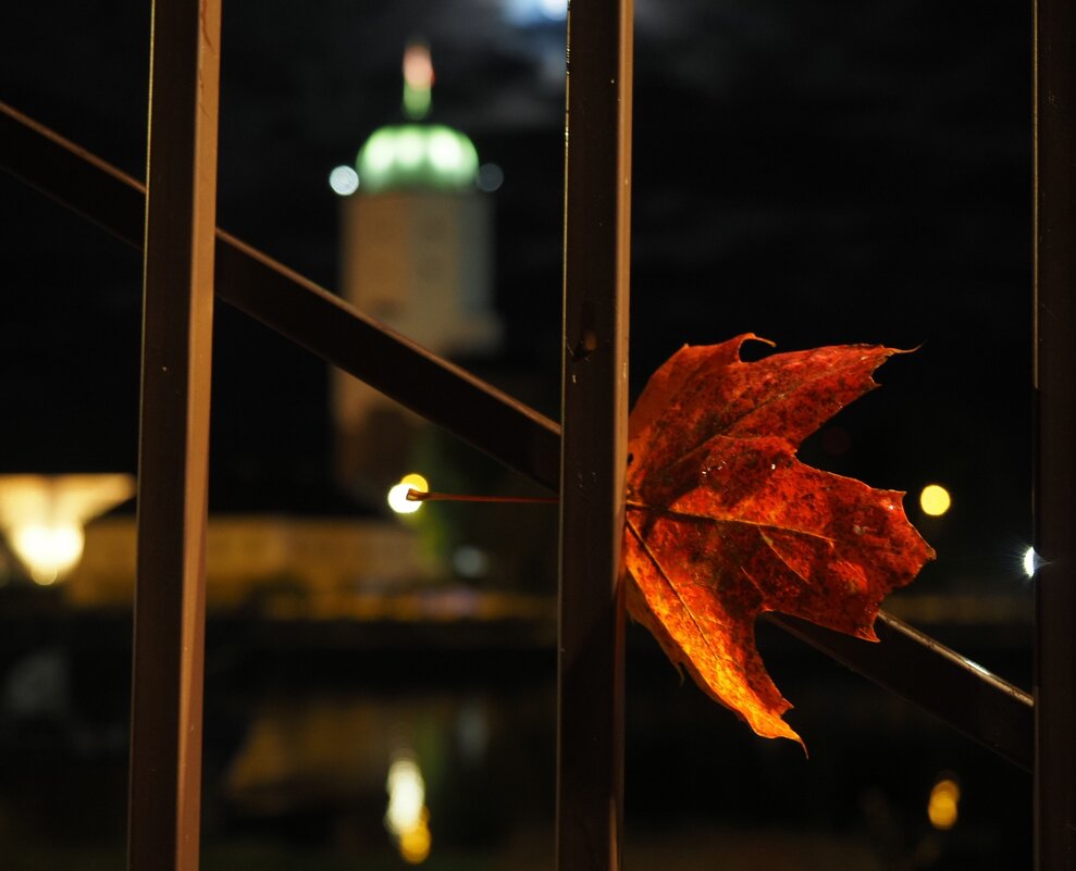 Однажды в Выборге. - Магомед .