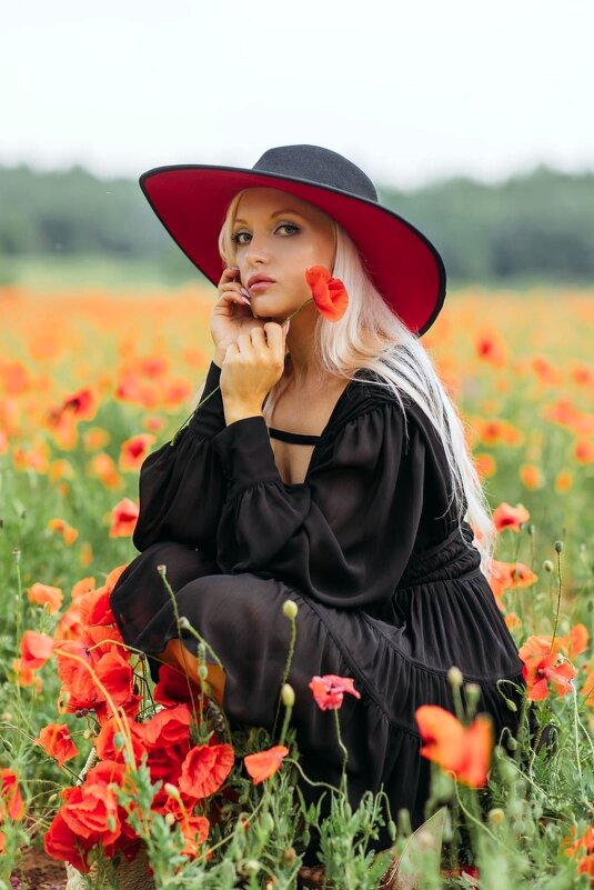 Красное и черное - Евгений Васильев