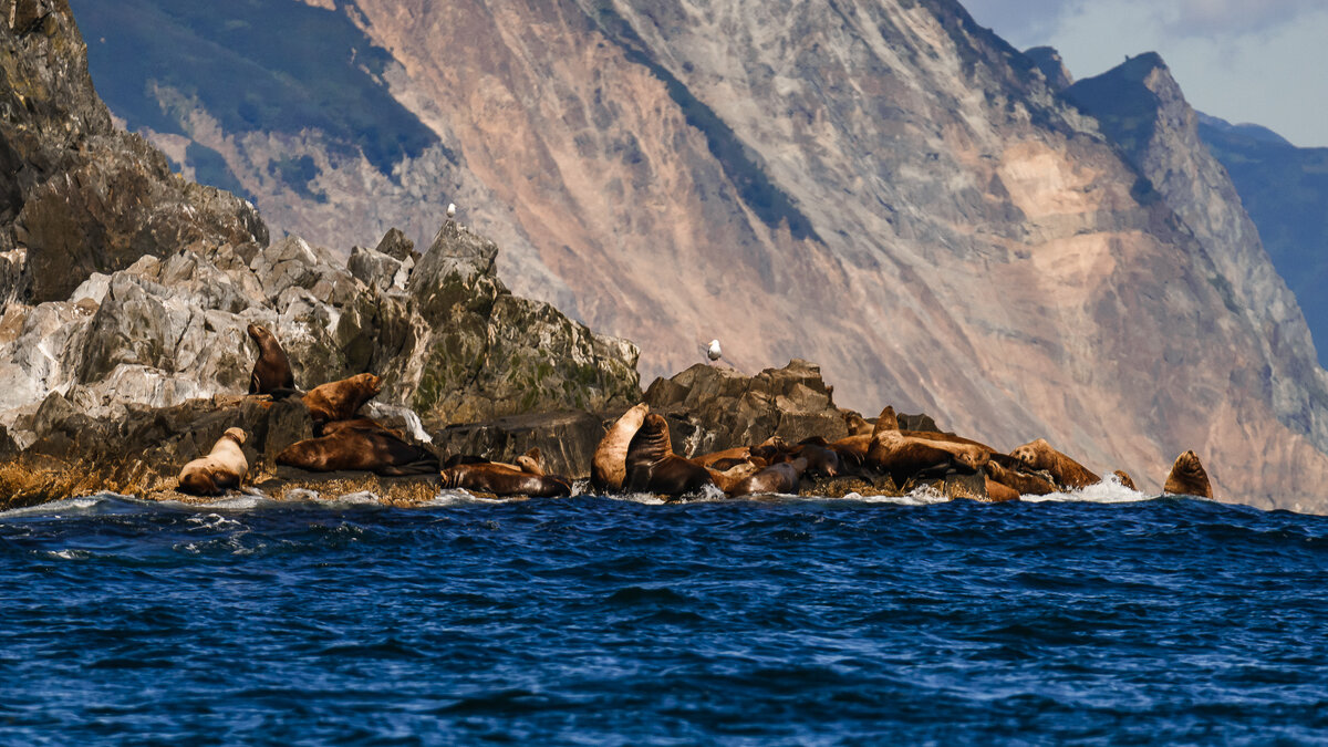 ... - Жора Житников