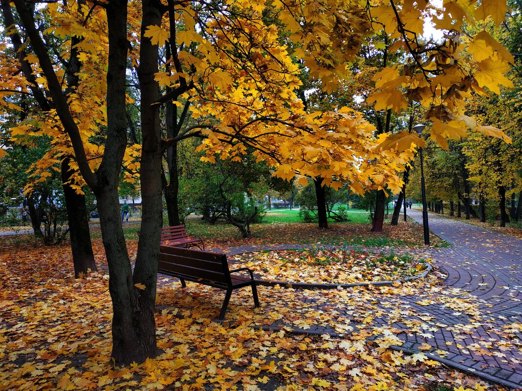 Золотая пора в городе - Андрей Лукьянов