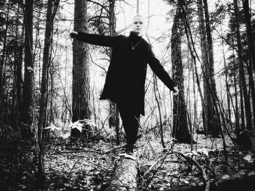 *** - Шу Юншен