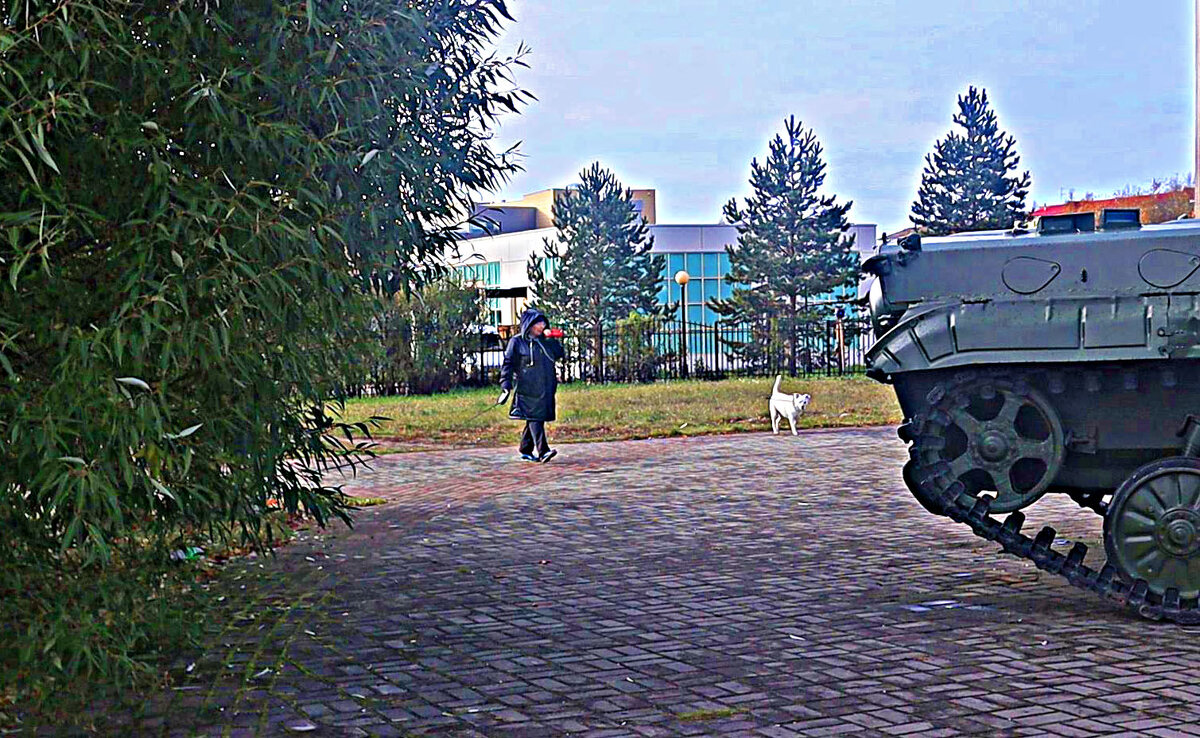 Октябрь,..Наш сын служит в СВО. - Владимир 