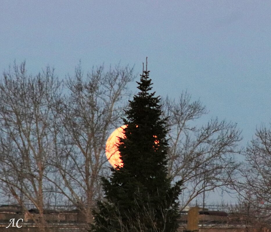 Суперлуние - Любовь Сахарова