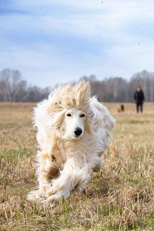 на забеге - Константин 