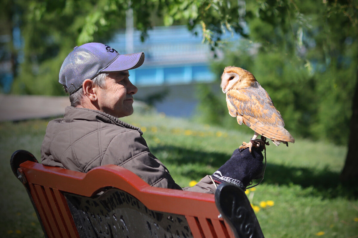 На прогулке - Алексей Кадыков На прогулке - Алексей Кадыков