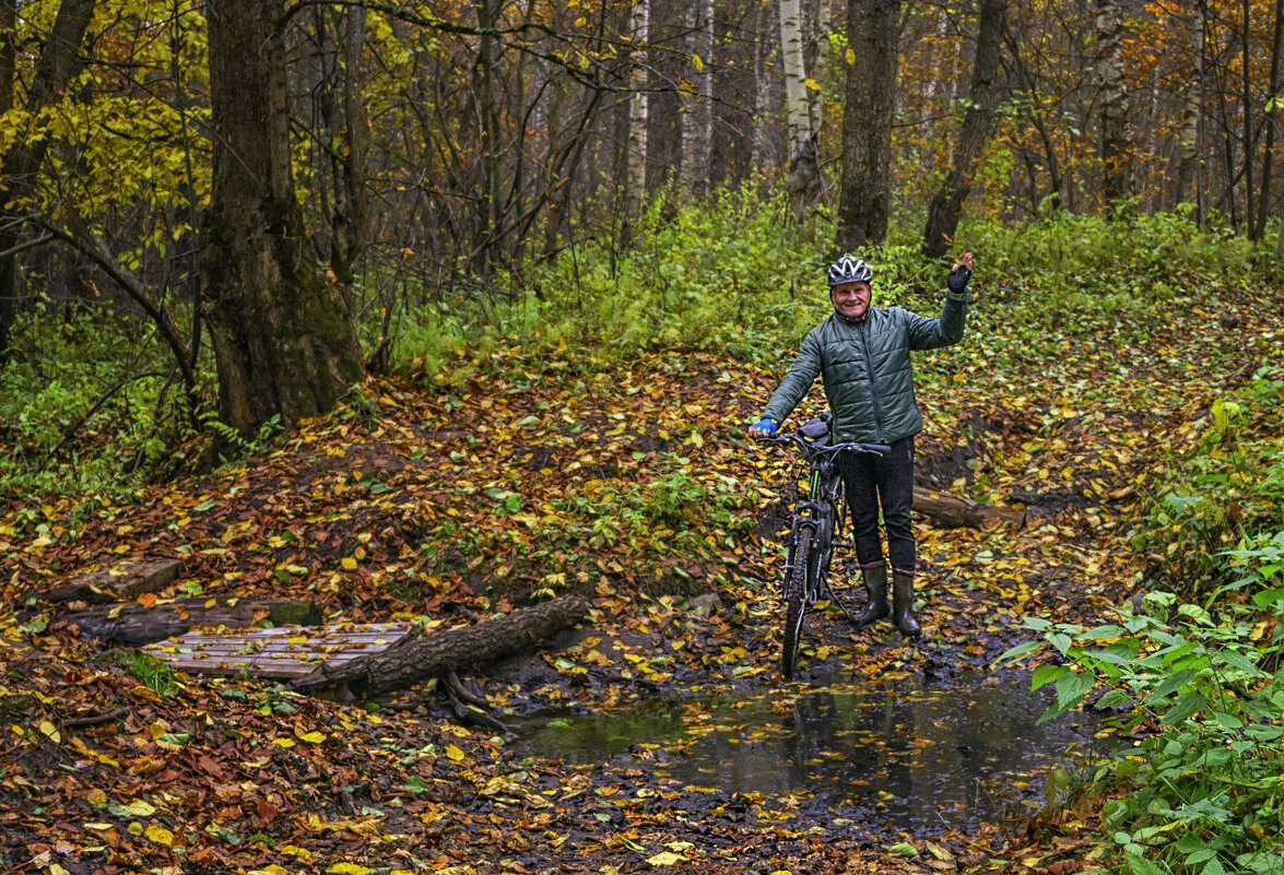 А не катнуть ли нам в осень - Сергей Цветков