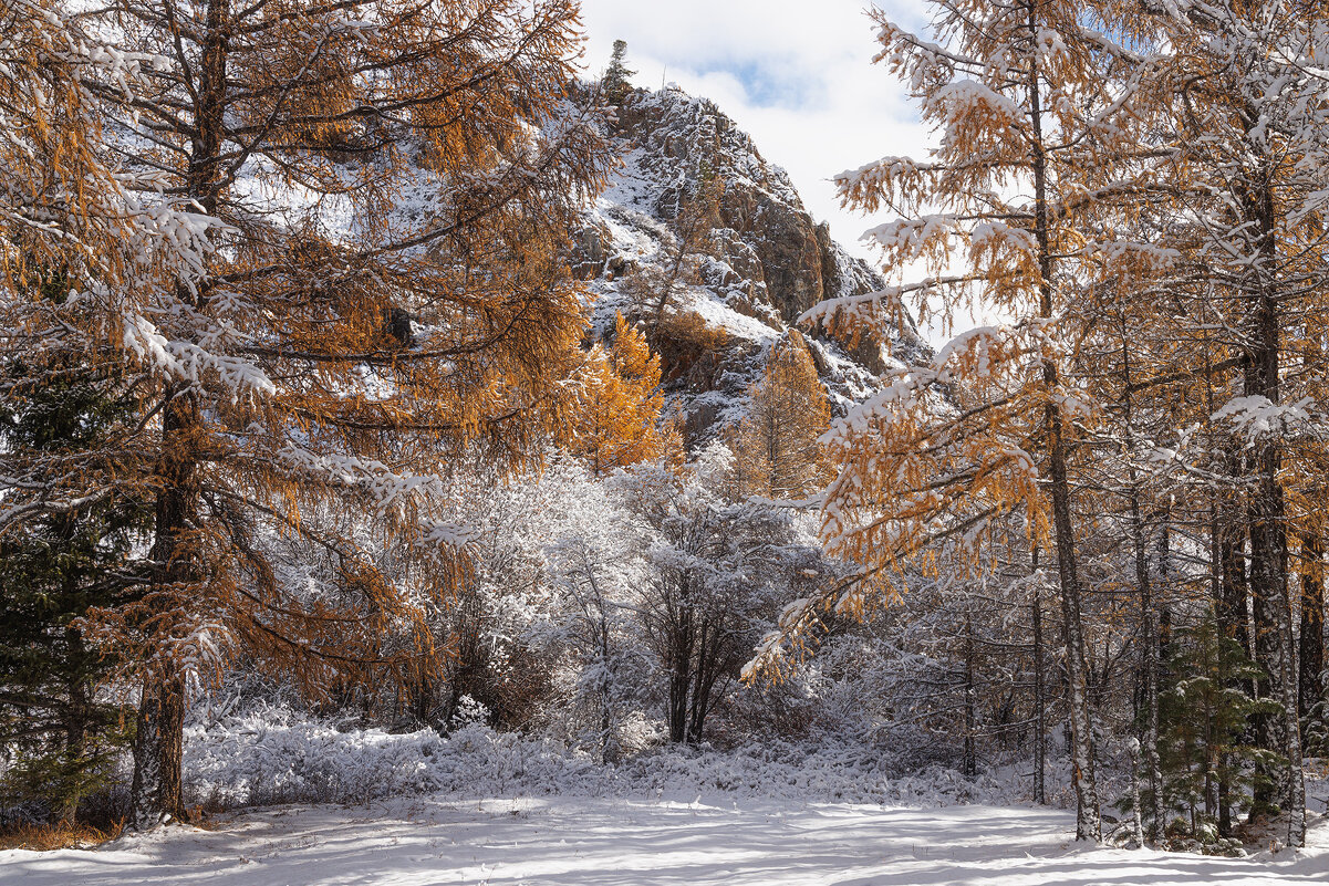 Золото и снег Алтая - Sergey38 