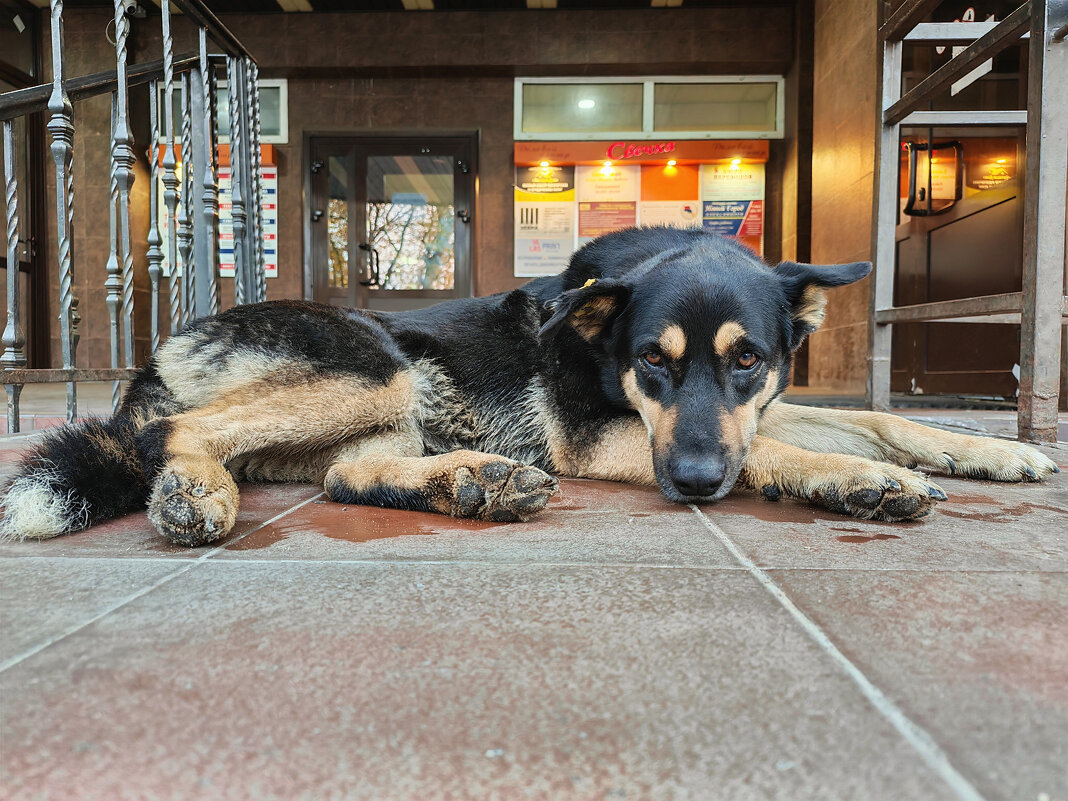 Печаль - Денис Бочкарёв