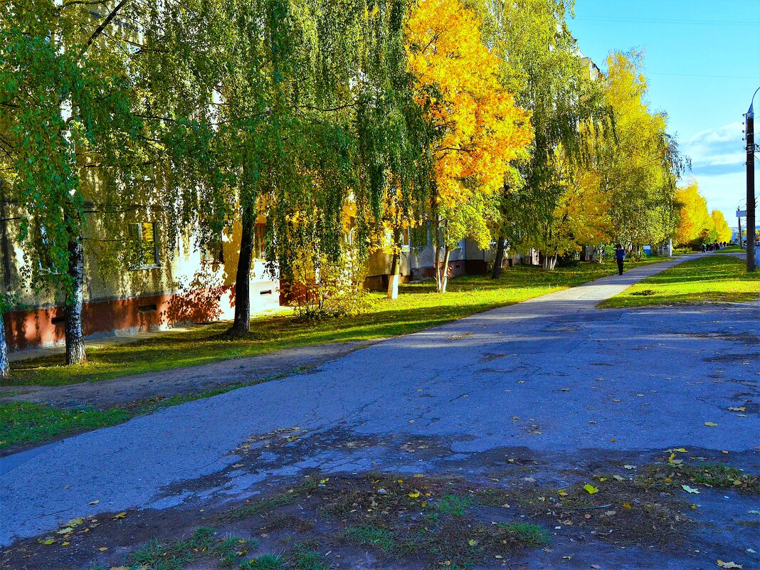 Чебоксары. Аллея улицы Хузангая осенью. - Пётр Чернега Чебоксары. Аллея улицы Хузангая осенью. - Пётр Чернега