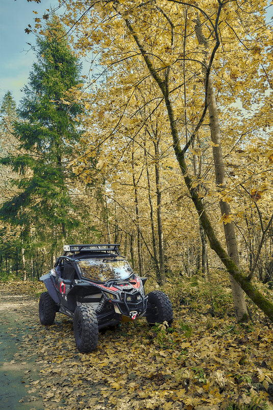 Отличный транспорт для фотографа в лесу) - Андрей Город