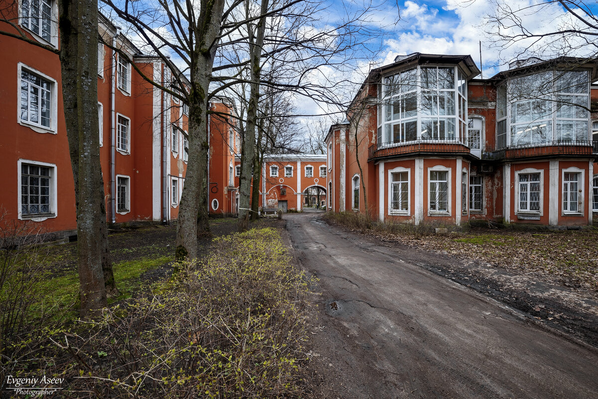 Корпуса - Евгений 