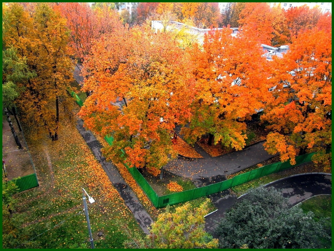 Краски осени - Ольга Довженко