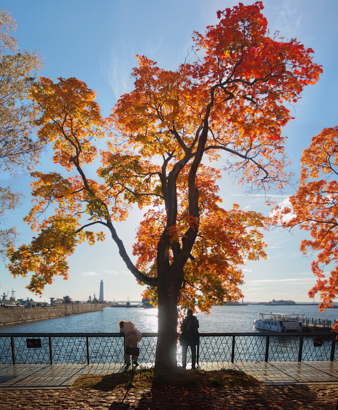 *** - Сергей Григорьев