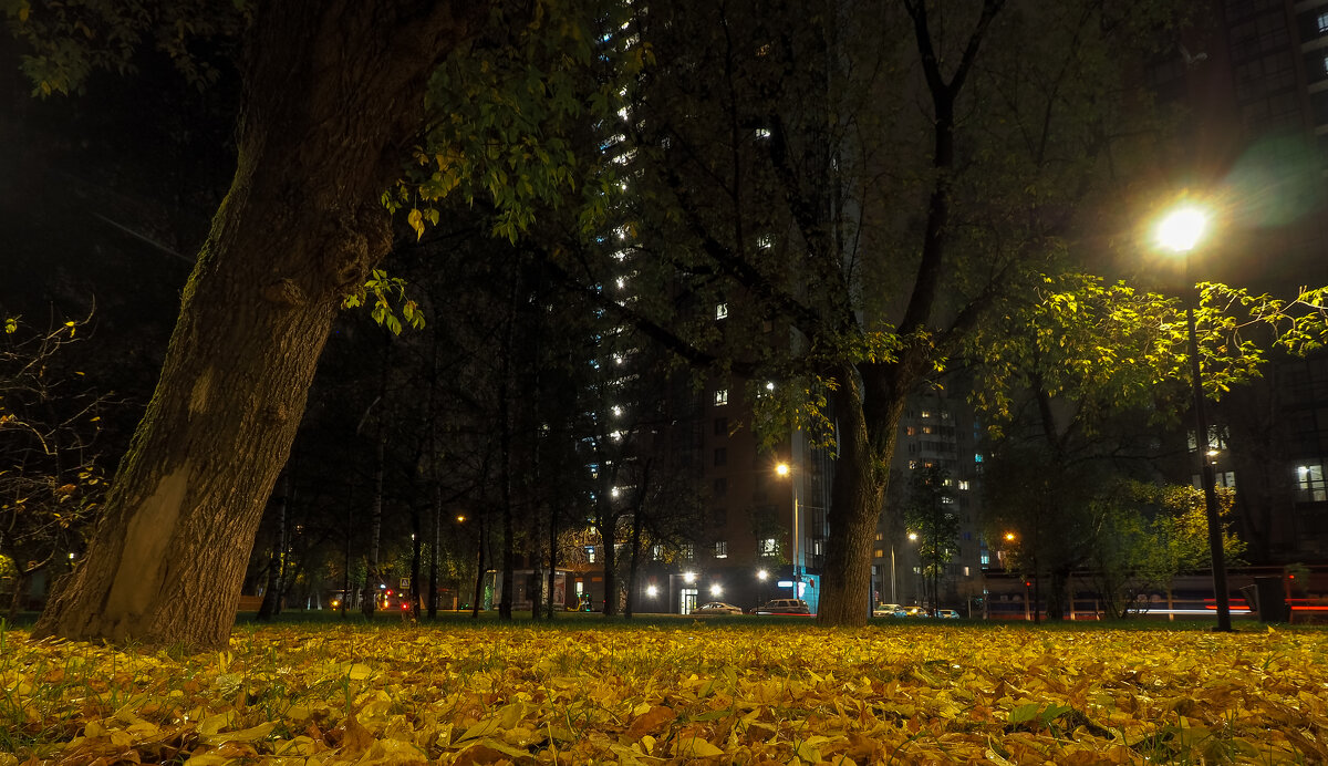 Осенний Вечер в Городе - юрий поляков Осенний Вечер в Городе - юрий поляков