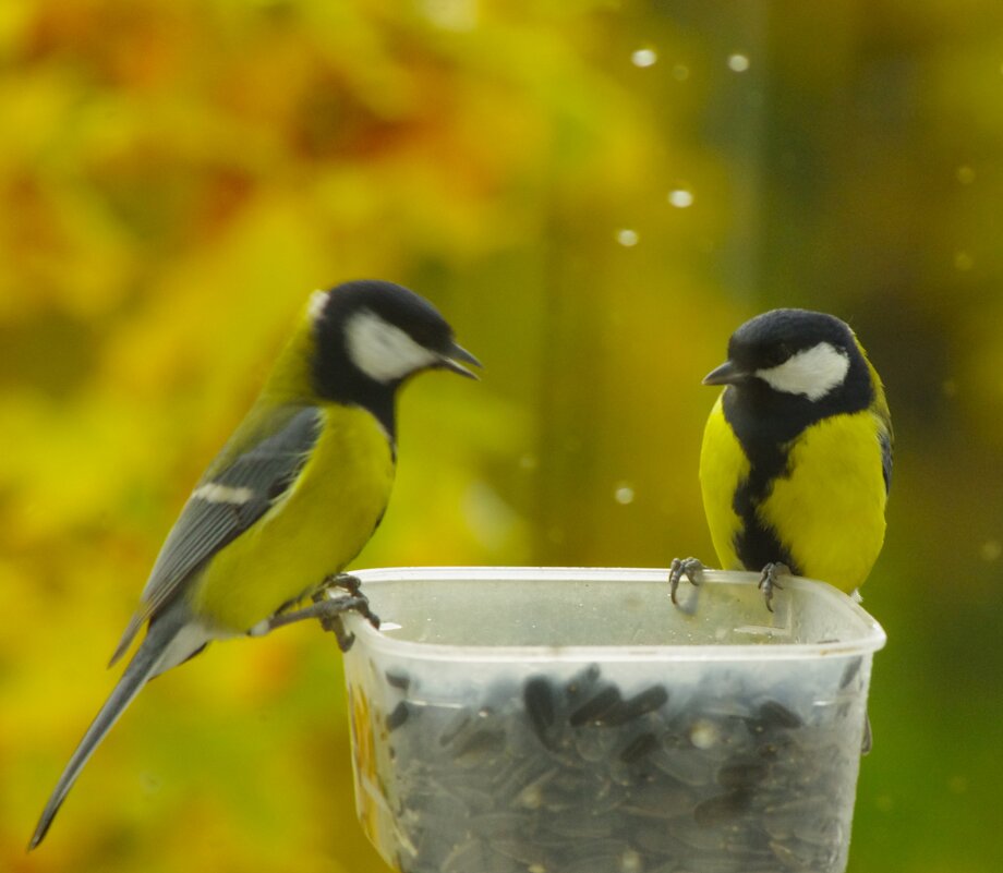 Не птицы, а люди берите... - Юрий Куликов Не птицы, а люди берите... - Юрий Куликов