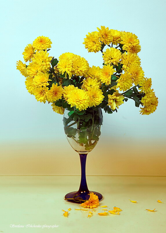 Красота осенняя - Светлана Ищенко