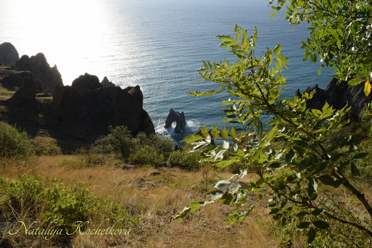 Природа Крыма - Amazing Cosmea