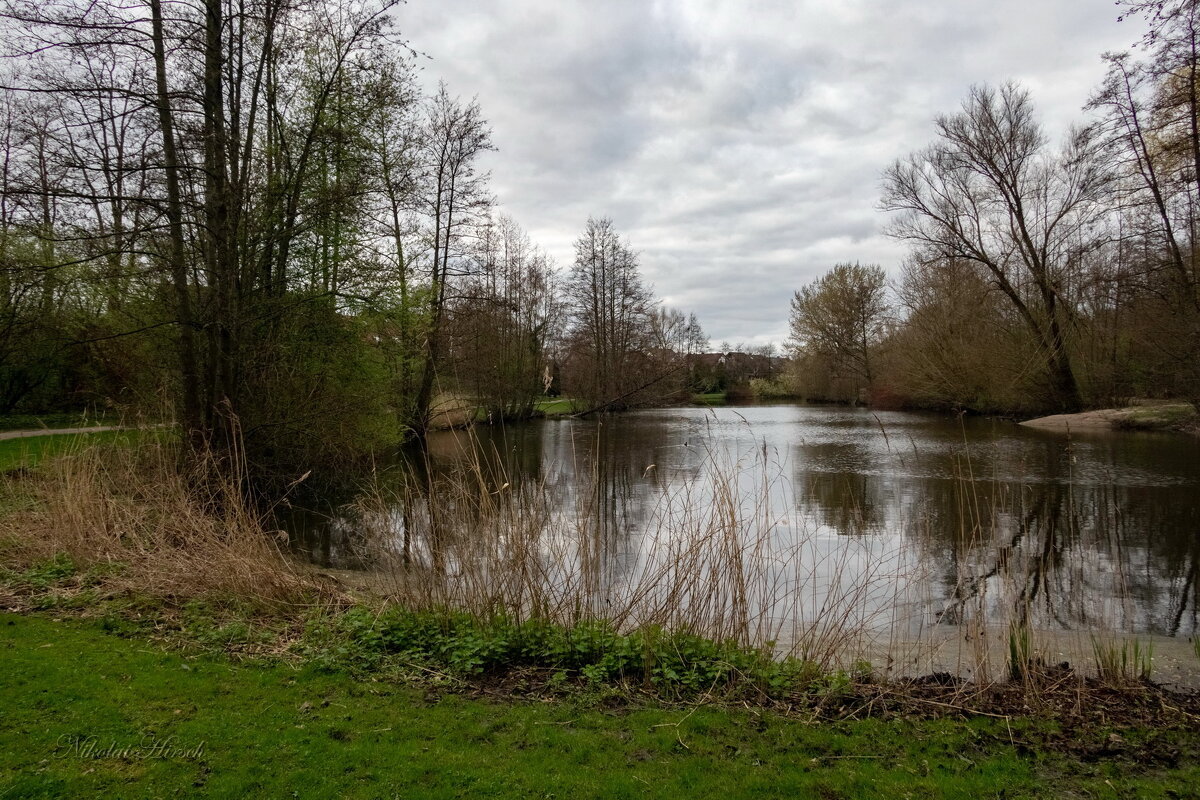 В начале весны... - Николай Гирш В начале весны... - Николай Гирш