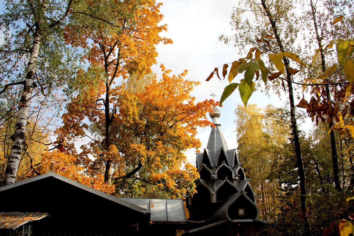 . - РИТА ЛЕВКОВА