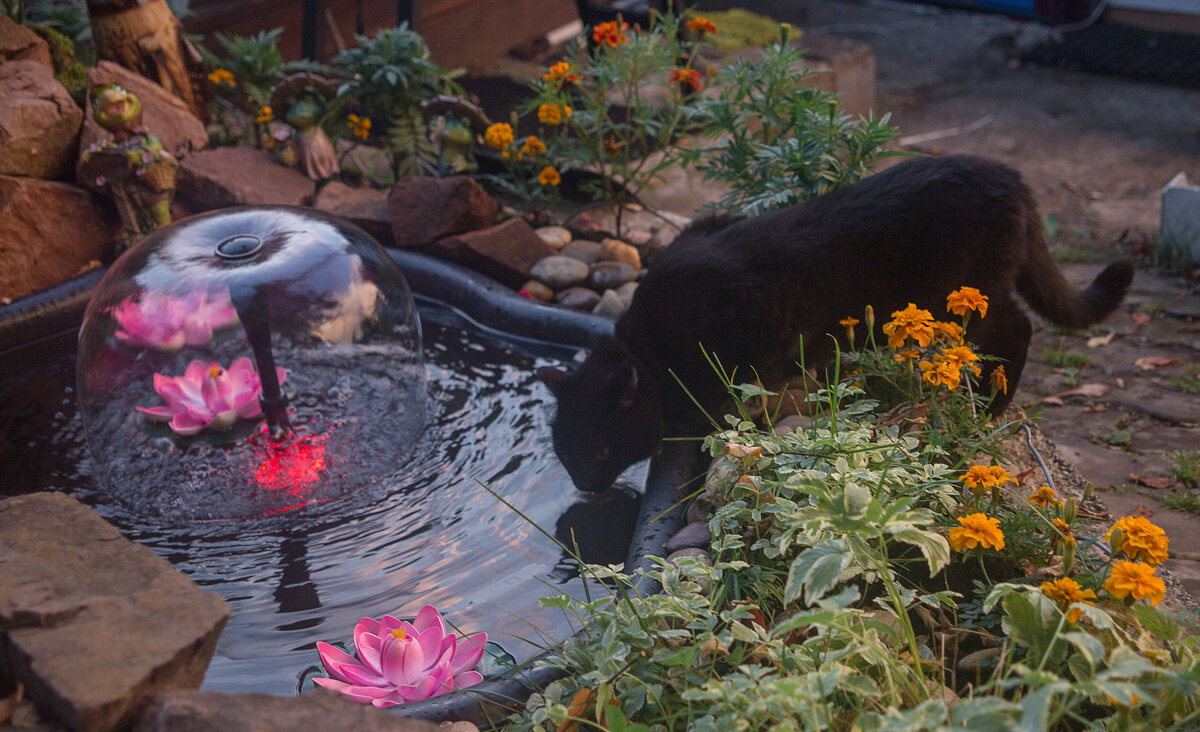 1 - анатолий 