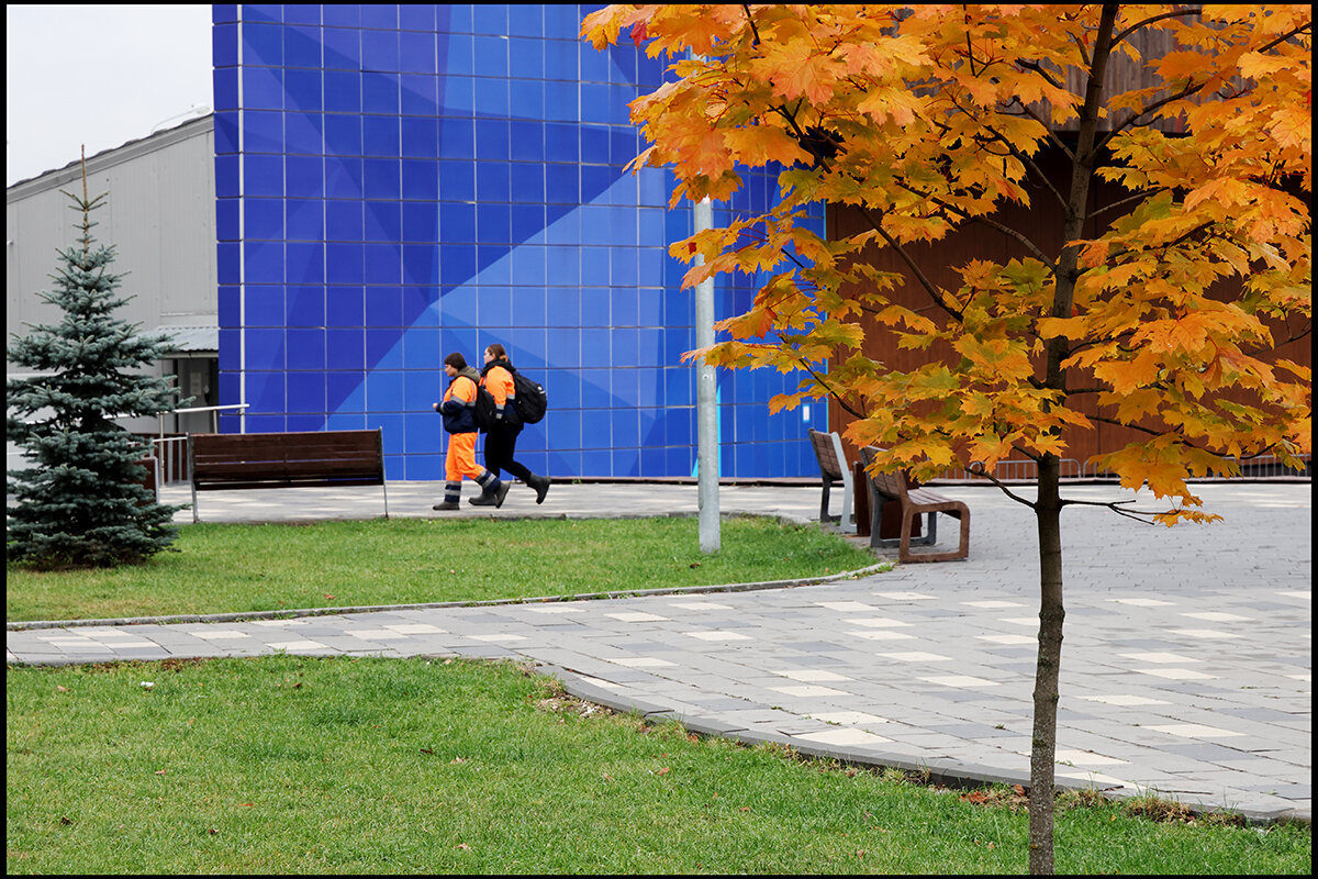Краски осени 5 - Сергей Премонишын