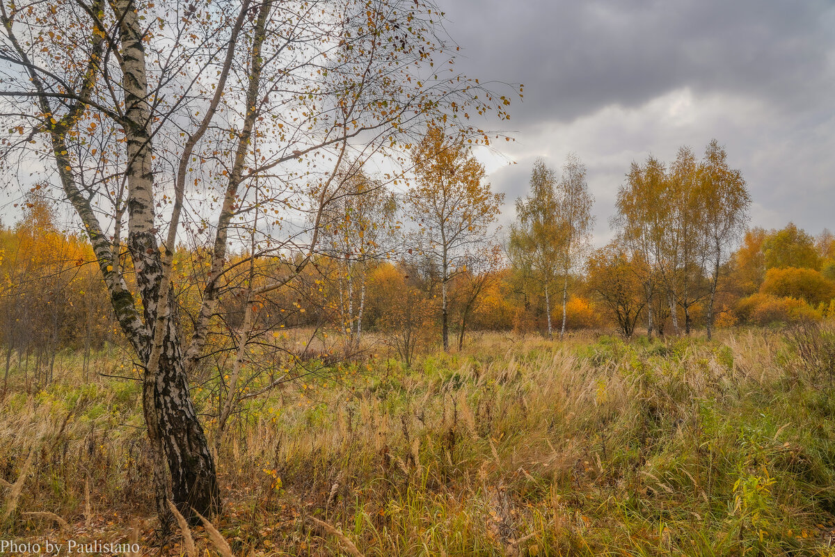 Палитра октября... - Владимир Жданов