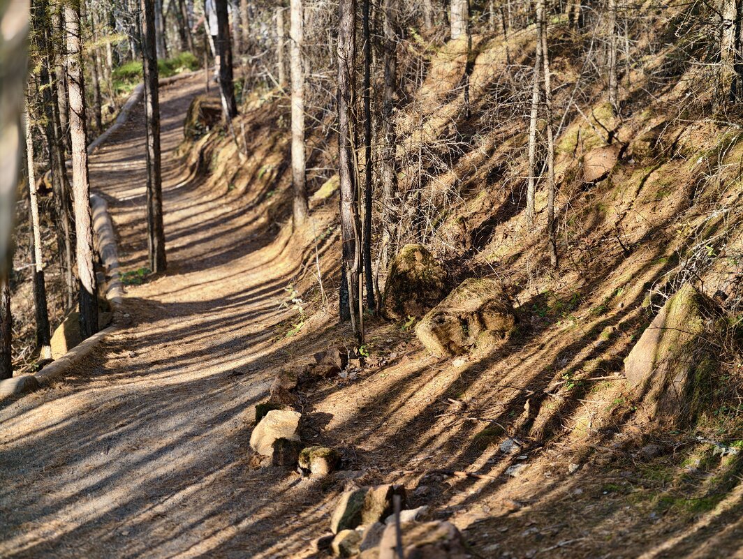 *** - Борис Руднев