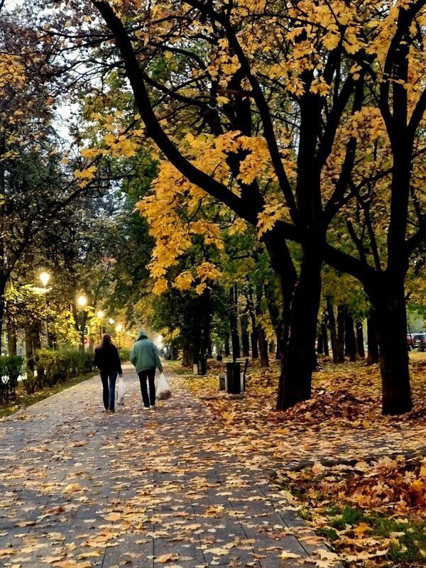 Проходнячковое - Татьяна [Sumtime]