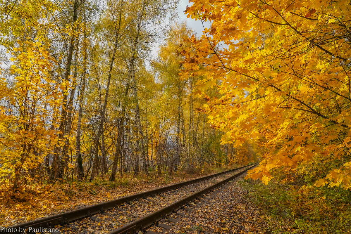 Дорога в осень... - Владимир Жданов Дорога в осень... - Владимир Жданов