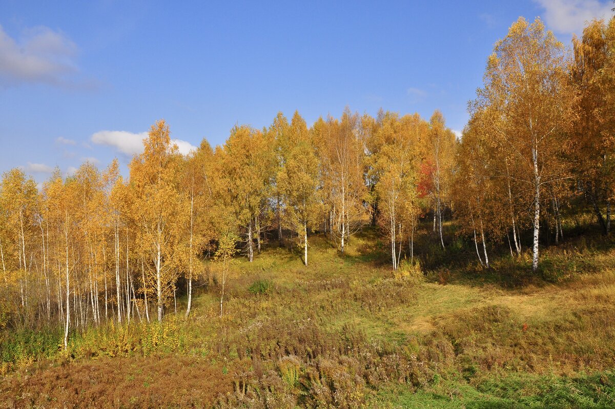 Посадка - Александр Конов