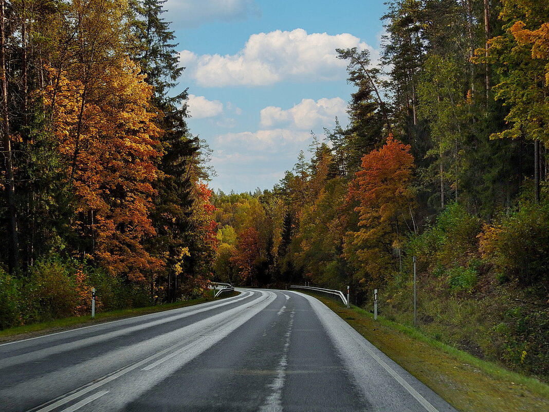 осень - ИННА ПОРОХОВА
