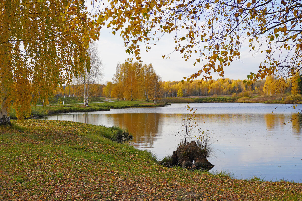 Октябрь на пруду - Сергей Ц