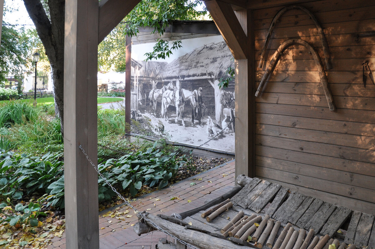 Дом-музей И.С. Никитина (во дворе) - Татьяна Машошина